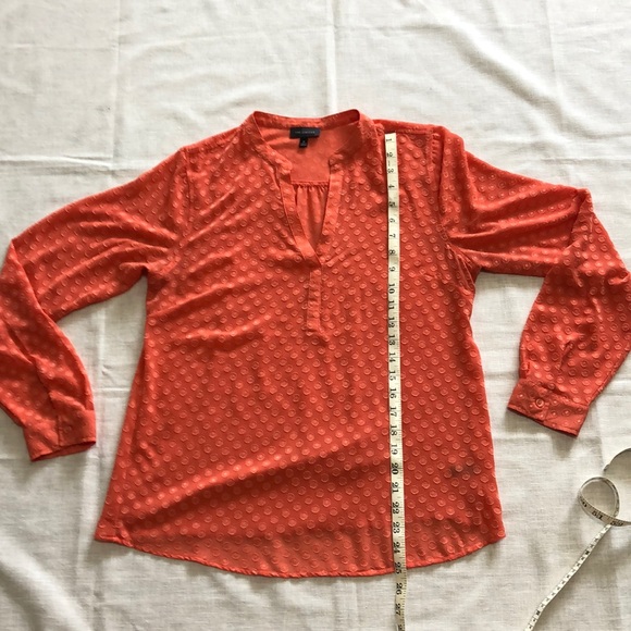 The Limited sheer blouse medium - Picture 5 of 7